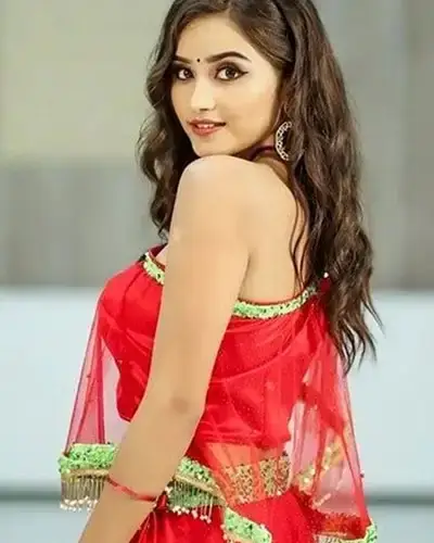 Call Girls Service Kasol